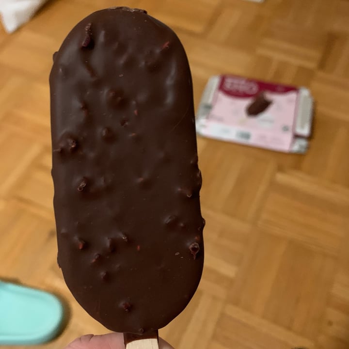 photo of Snö Frozen Dessert Bars Crunchy Raspberries shared by @nowmakeitvegan on  29 Mar 2023 - review