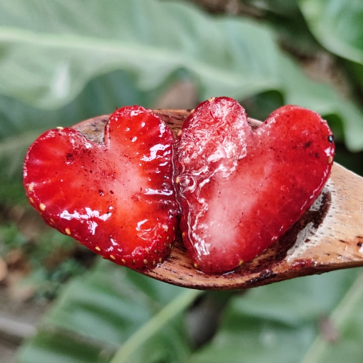 photo of Pure Vegan Heaven Chiang Mai Berries in Love shared by @littleredmushroom on  02 Mar 2023 - review