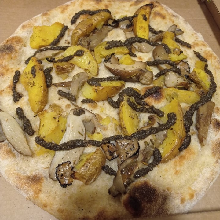photo of ArVolo Ristorante Pizzeria Pizza Crema Tartufo E Patate shared by @thordag on  15 Mar 2023 - review