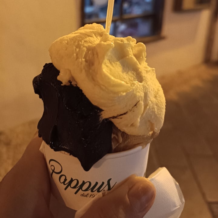 photo of Pappus Gelateria Artigianale caramello salato e passion fruit shared by @cheti on  15 Aug 2023 - review