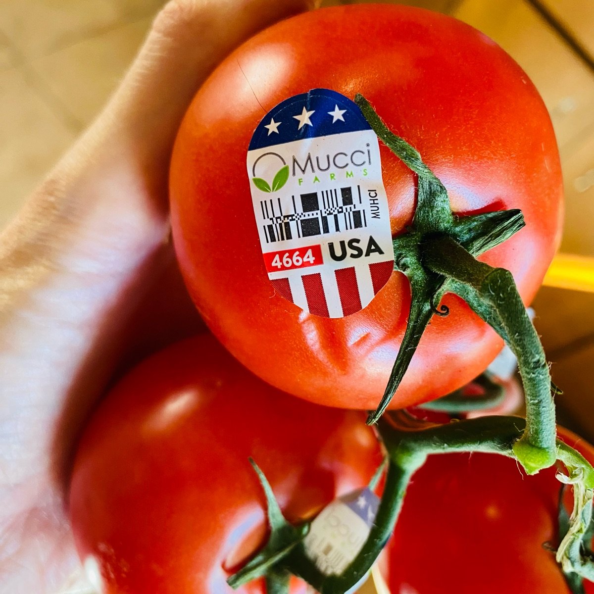 Mucci farms Vine Tomatoes Reviews abillion