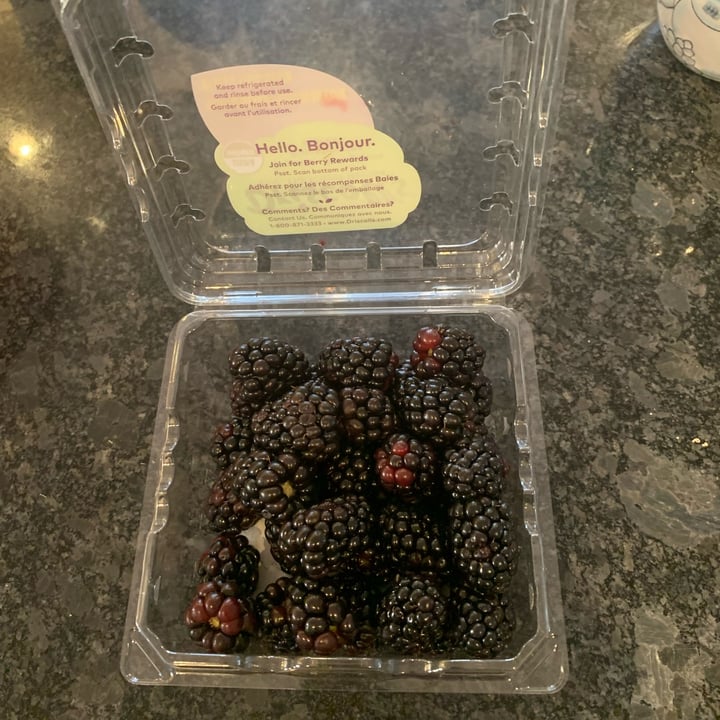 photo of Driscoll’s Blackberries shared by @louisg on  24 Dec 2022 - review
