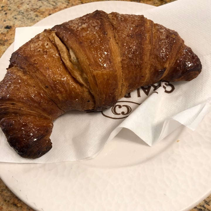 photo of Ceraldi Caffè Brioche Vegana Vuota shared by @liatraballero on  23 Mar 2023 - review