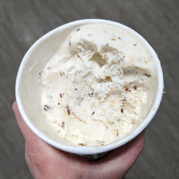 photo of So Delicious Dairy Free Oatmilk Oatmeal Cookie Ice Cream shared by @tina360 on  24 Apr 2023 - review