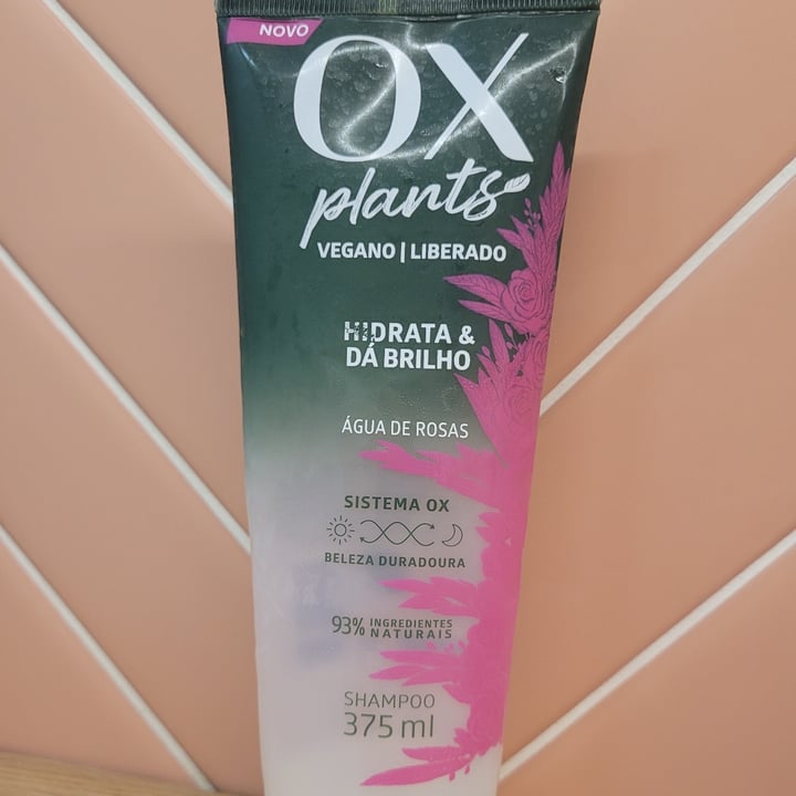 photo of Ox Shampoo Chá Verde E Prebióticos shared by @diogof on  12 Jan 2023 - review