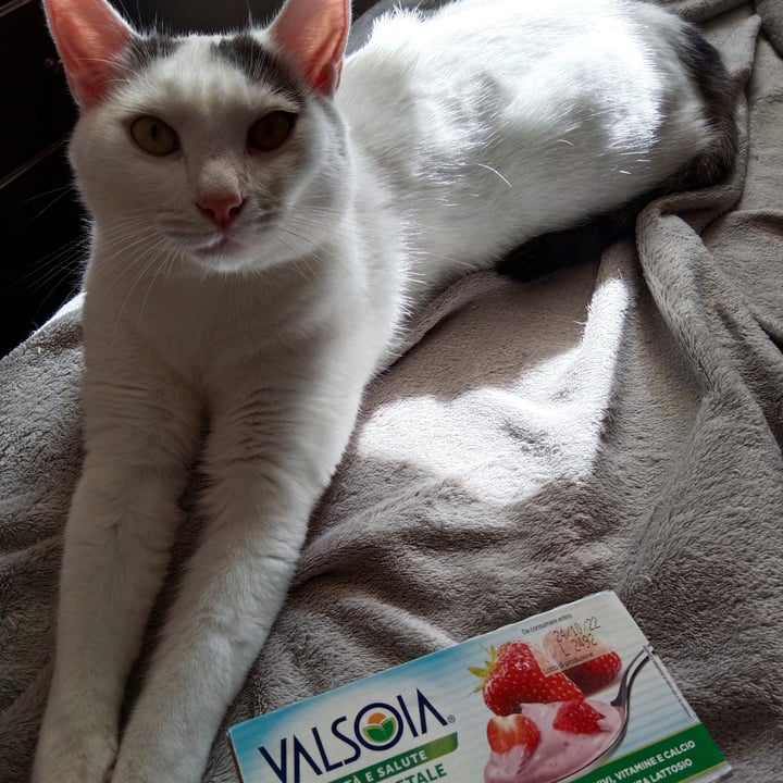 photo of Valsoia Yogurt Yosoi Fragola shared by @cami90 on  18 May 2023 - review