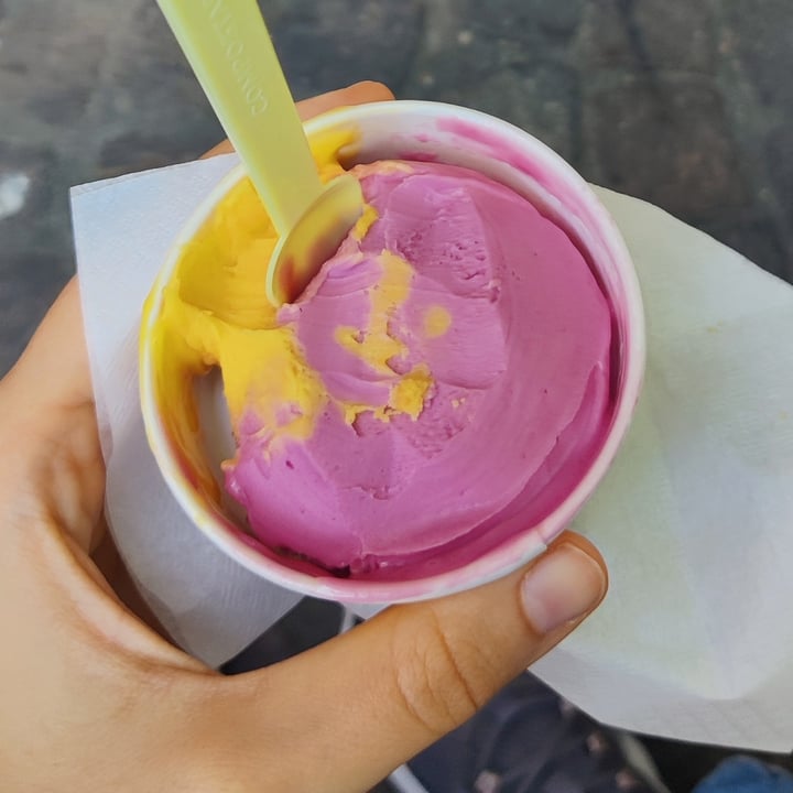 The Ice Cream Station Ravenna, Italy Gelato Lampone, Sambuco E Limone Review abillion