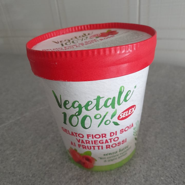 photo of Gelato vegetale gelato fior di soia variegato frutti rossi selex shared by @enricamarchisio on  13 Jul 2023 - review