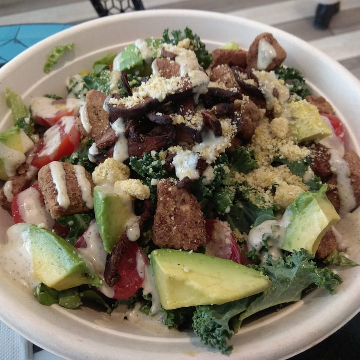photo of Beatnic - Back Bay Kale Caesar shared by @plantykitti on  08 Feb 2023 - review