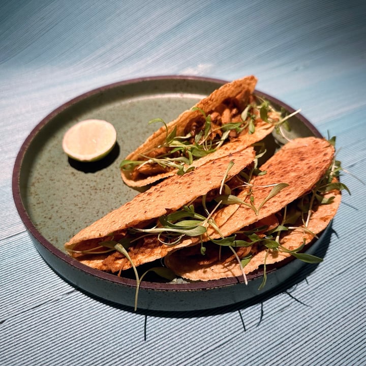 photo of Analogue Jackfruit Tacos shared by @dafnelately on  16 Jul 2023 - review