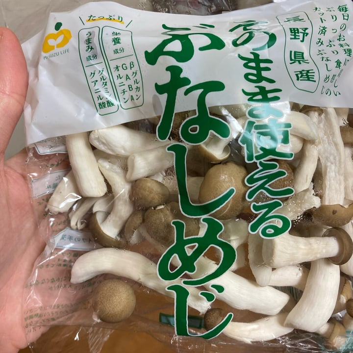 Misuzu life Reviews abillion