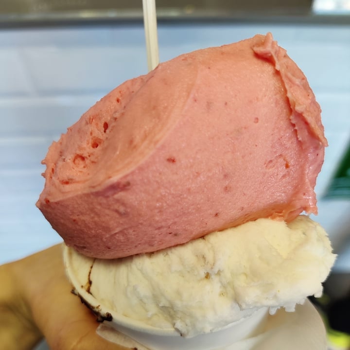 photo of Gelateria Creamy Gelato Gusto Fragola shared by @michelanice on  10 Apr 2023 - review