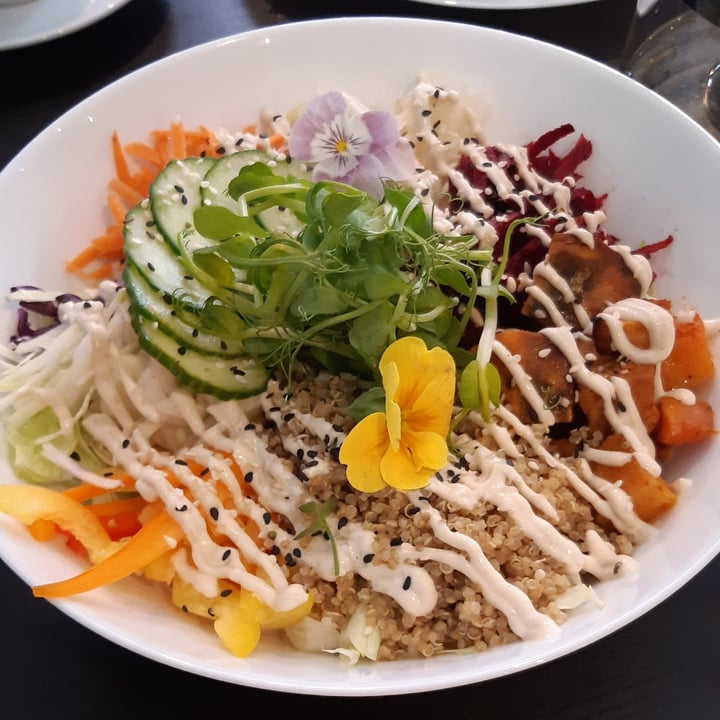 photo of Pure Vegan Buddha Bowl shared by @geo23 on  11 Feb 2023 - review