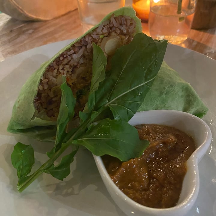 photo of Penida Colada Beach Bar Jackfruit Rendang Burrito shared by @theveganduck on  29 Jul 2023 - review