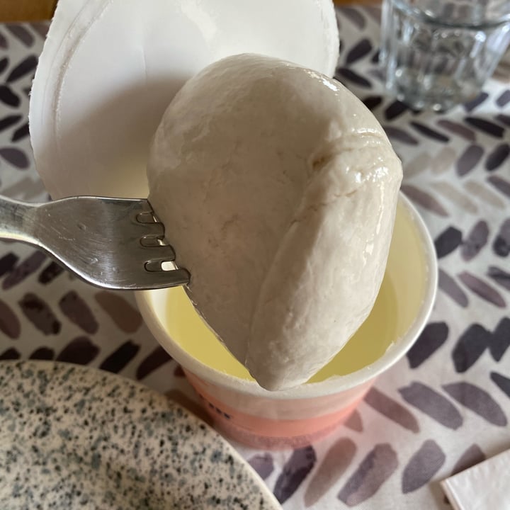 photo of Dream Farm Alternativa vegetale alla mozzarella shared by @ilariabiancolatte1 on  02 Jun 2023 - review