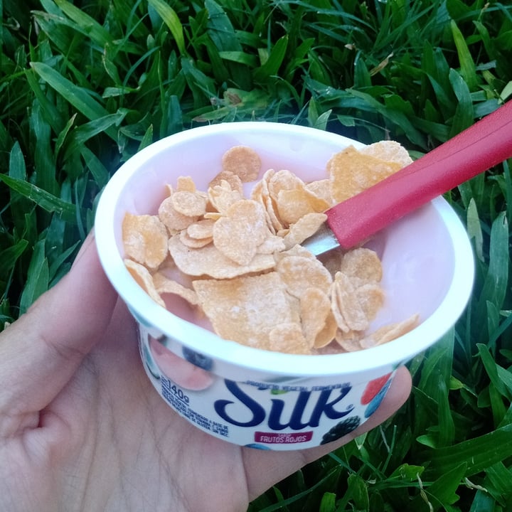 photo of Silk Producto fermentado a base de coco sabor frutos rojos shared by @lau1307 on  26 Jan 2023 - review