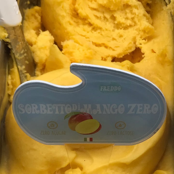 photo of Freddo Sorbetto di mango shared by @anapaulamr on  22 Mar 2023 - review