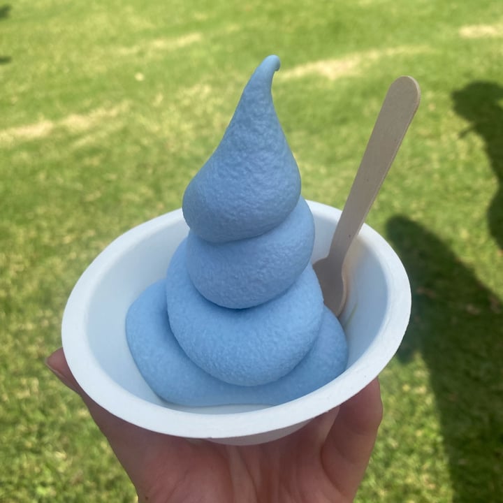 photo of Lulus Blue Vanilla Coconut Soft Serve shared by @veganfoodienz on  02 Apr 2023 - review