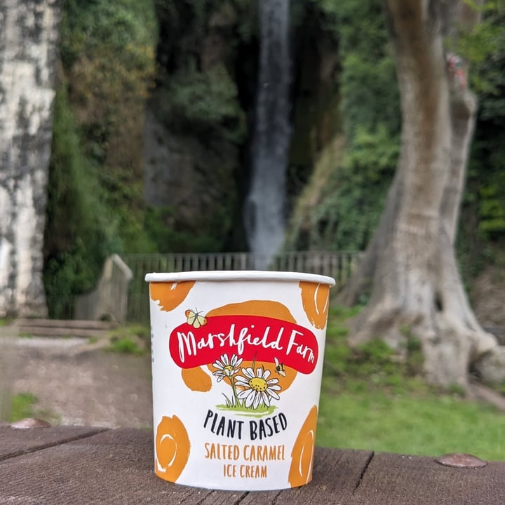 photo of Marshfield farm Salted Caramel Ice Cream shared by @marcinzalu on  29 Jul 2023 - review