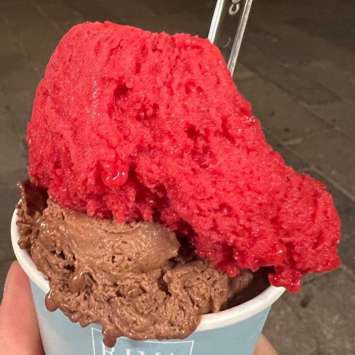 photo of Rivareno Gelato Gelato shared by @bonviknd on  30 Apr 2023 - review