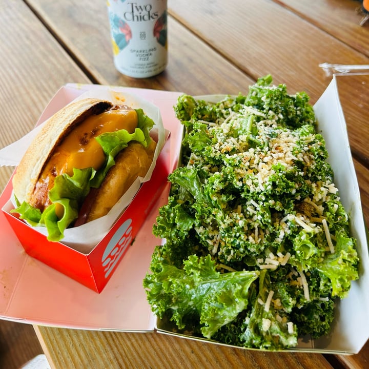 photo of Plantees Buffalo Chick’n Sandwich & Kale salad shared by @ginanicole on  15 Aug 2023 - review