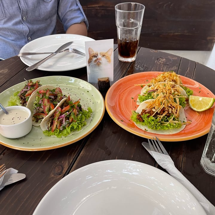 photo of Orenda Orendas Tacos And Zucchi Shawarma Tacos shared by @kimo on  13 Jul 2023 - review