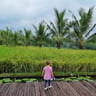 Little Garden Yogyakarta