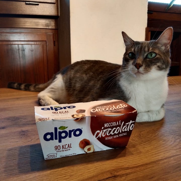 photo of Alpro 2 X Chocolate and hazelnut shared by @cami90 on  17 May 2023 - review