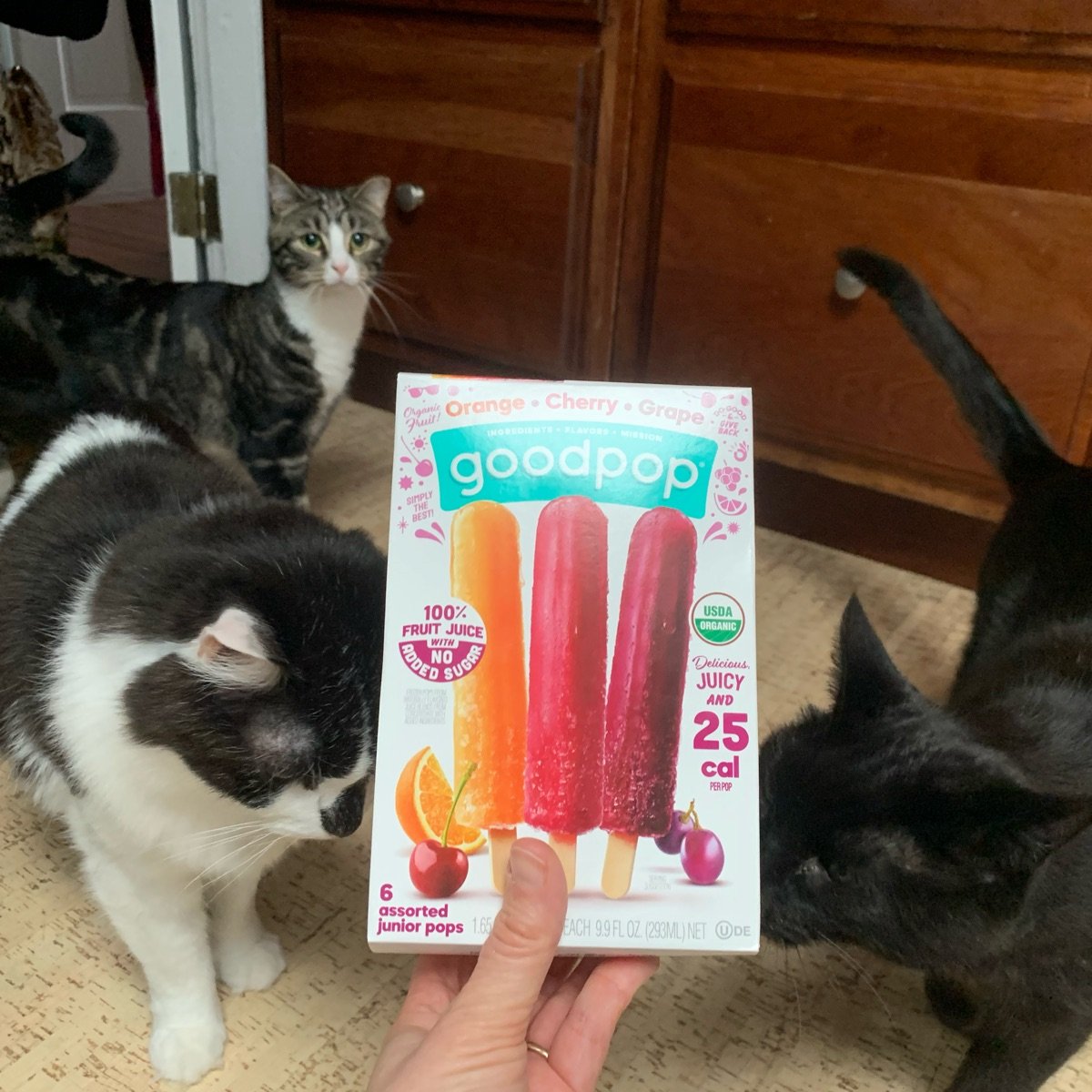 Junior Pops from Goodpop - Vegan Product Reviews & Ratings | abillion