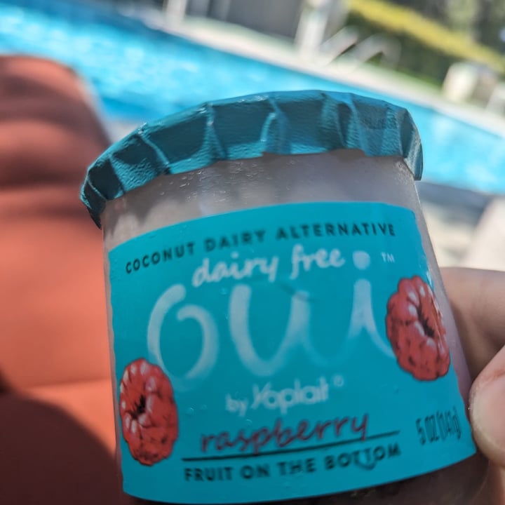 photo of Yoplait Dairy Free Oui Raspberry shared by @rochi09 on  16 Jul 2023 - review