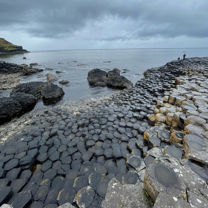 photo of National Trust - Giant's Causeway Vegan Falafel Wrap shared by @vegneve on  17 May 2023 - review