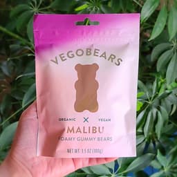 Vego Bears