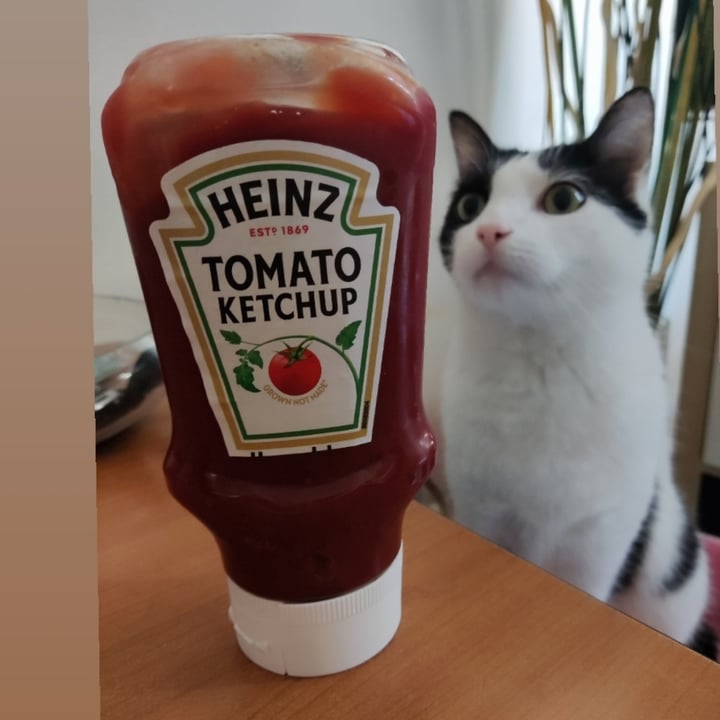 photo of Heinz Tomato Ketchup shared by @felika on  08 May 2023 - review