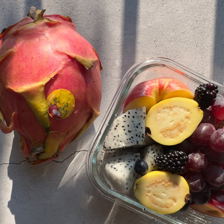 Jerry’s Fruit & Garden Center Dragon Fruit Review abillion