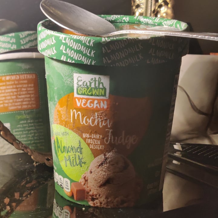 photo of Earth Grown Mocha Fudge Non-Dairy Frozen Dessert shared by @cinemaspinach on  28 Jan 2023 - review