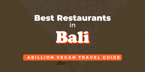 Discover Bali's Vegan Paradise: Your Ultimate Guide to Plant-Based Delights
