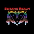@seitansrealmcbus profile image