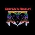 @seitansrealmcbus profile image