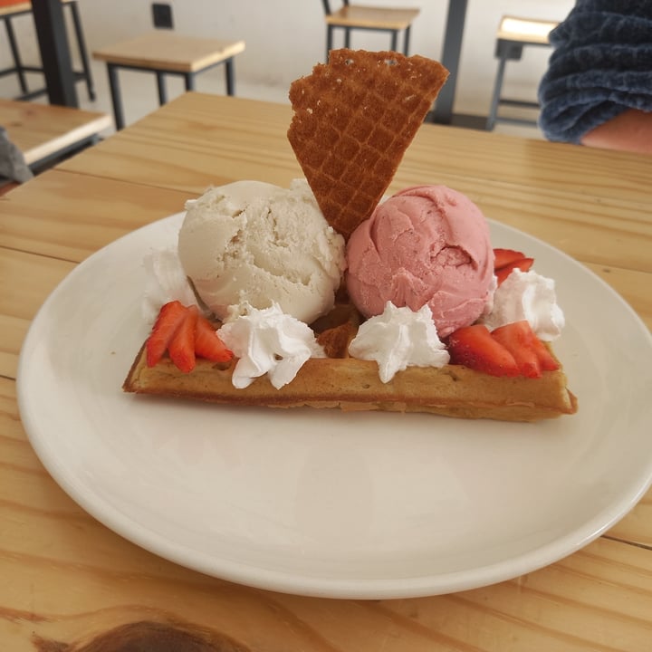 photo of ditto Vegan Waffles and Ice Cream shared by @colleenc on  09 Apr 2023 - review