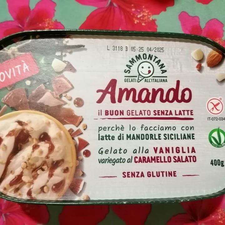 photo of Amando gelato alla vaniglia variegato al caramello salato shared by @fedevegana on  11 Aug 2023 - review