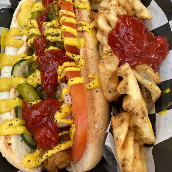 photo of The Painted Turtle chicago dog shared by @compassionatekisses on  15 Aug 2023 - review