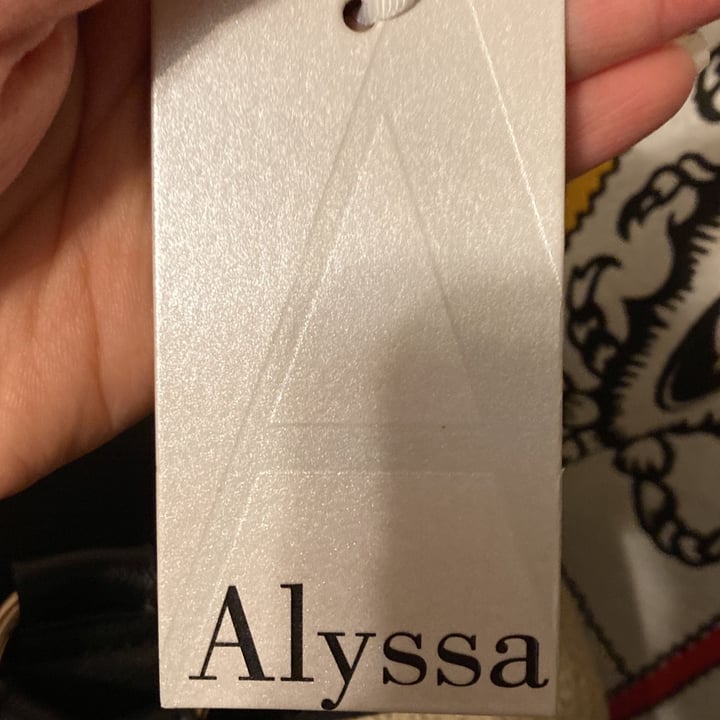 photo of Alyssa backpack shared by @punksappho on  16 May 2023 - review