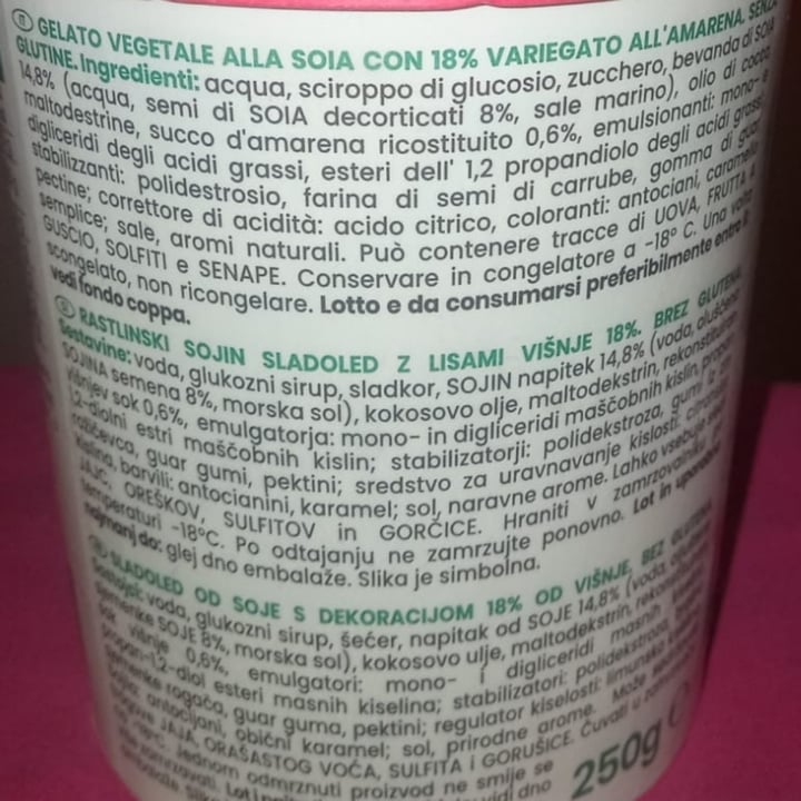 photo of Amo Essere Veg gelato alla soia variegato amarena shared by @elaisa-veg on  11 Jul 2023 - review