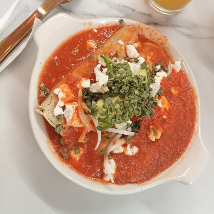 photo of Vainila, healthy & green bar Enchiladas rellenas de hongos con queso vegano shared by @angelicadhays on  11 Jun 2023 - review