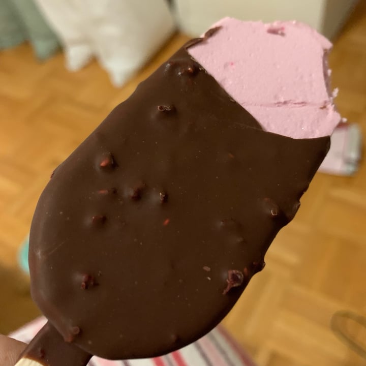 photo of Snö Frozen Dessert Bars Crunchy Raspberries shared by @nowmakeitvegan on  29 Mar 2023 - review