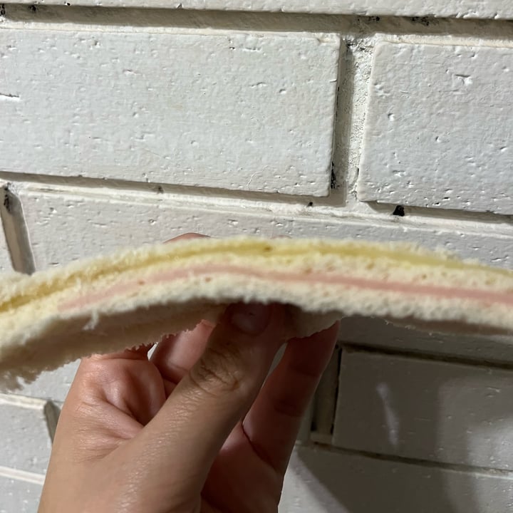 photo of Apto Vegano Consciente Sandwich de Jamón y Queso shared by @anaacraveroo on  09 Apr 2023 - review