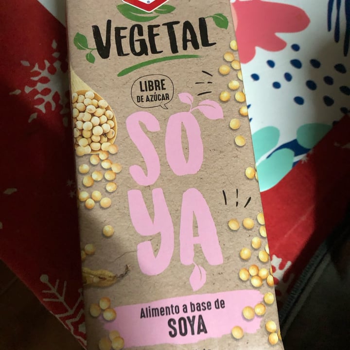 photo of Lonco Leche Bebida Vegetal De Soya shared by @roseylovesveggies on  15 May 2023 - review