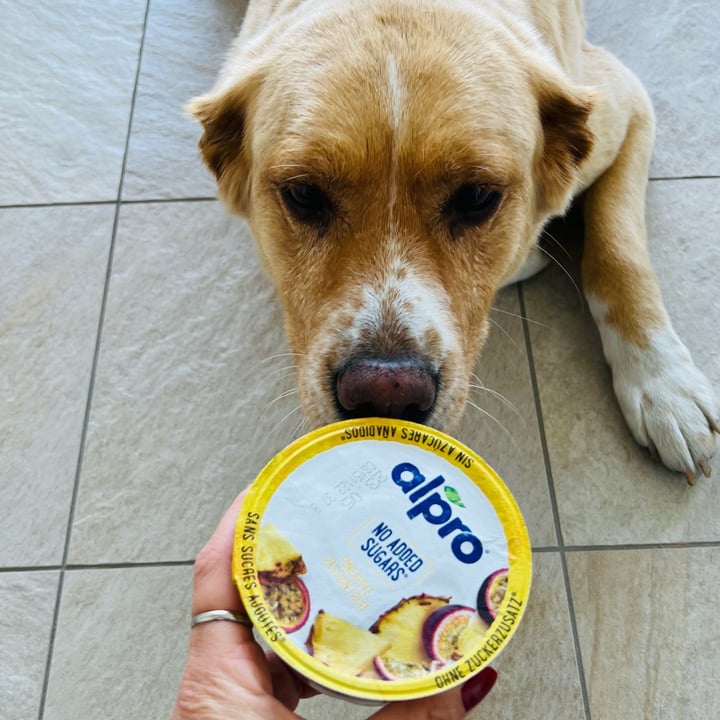 photo of Alpro Alpro pineapple passion fruit shared by @nicole- on  07 May 2023 - review
