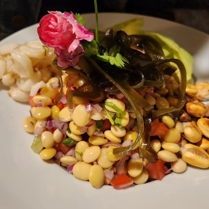 photo of Guille Veggie Ceviche De Chochos shared by @ladyvegan-porelmundo on  02 May 2023 - review
