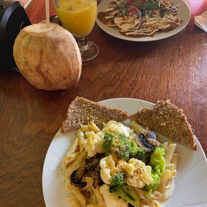 photo of BaoVegan Pasta “Alfredo” shared by @andyperches on  24 Jul 2023 - review